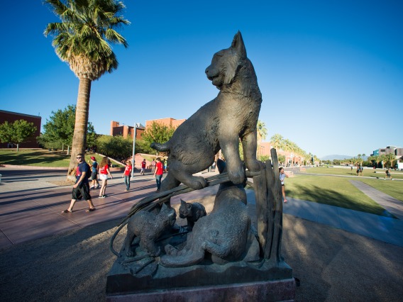 Wildcat sculpture on Tucson campus