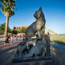 Wildcat sculpture on Tucson campus